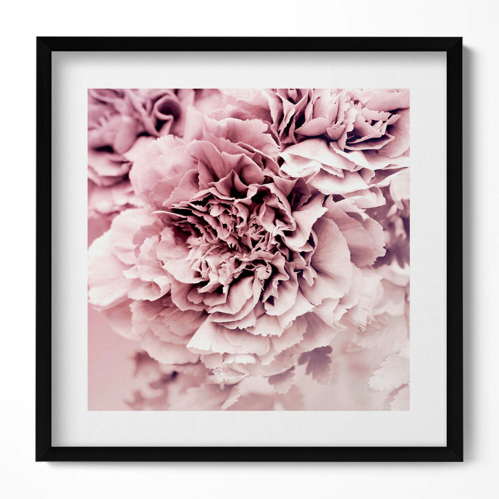 Tablou rama unic Petale de bujor roz pal