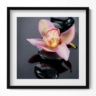 Tablou living cu rama unic Flori pe pietre în apă