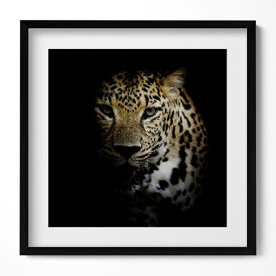 Tablou rama unic Tigru sălbatic în negru