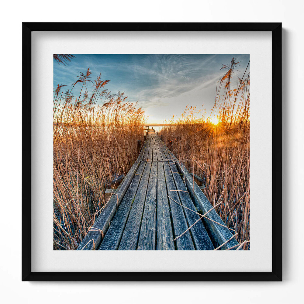 Tablou living cu rama unic Un drum de lemn printre copaci