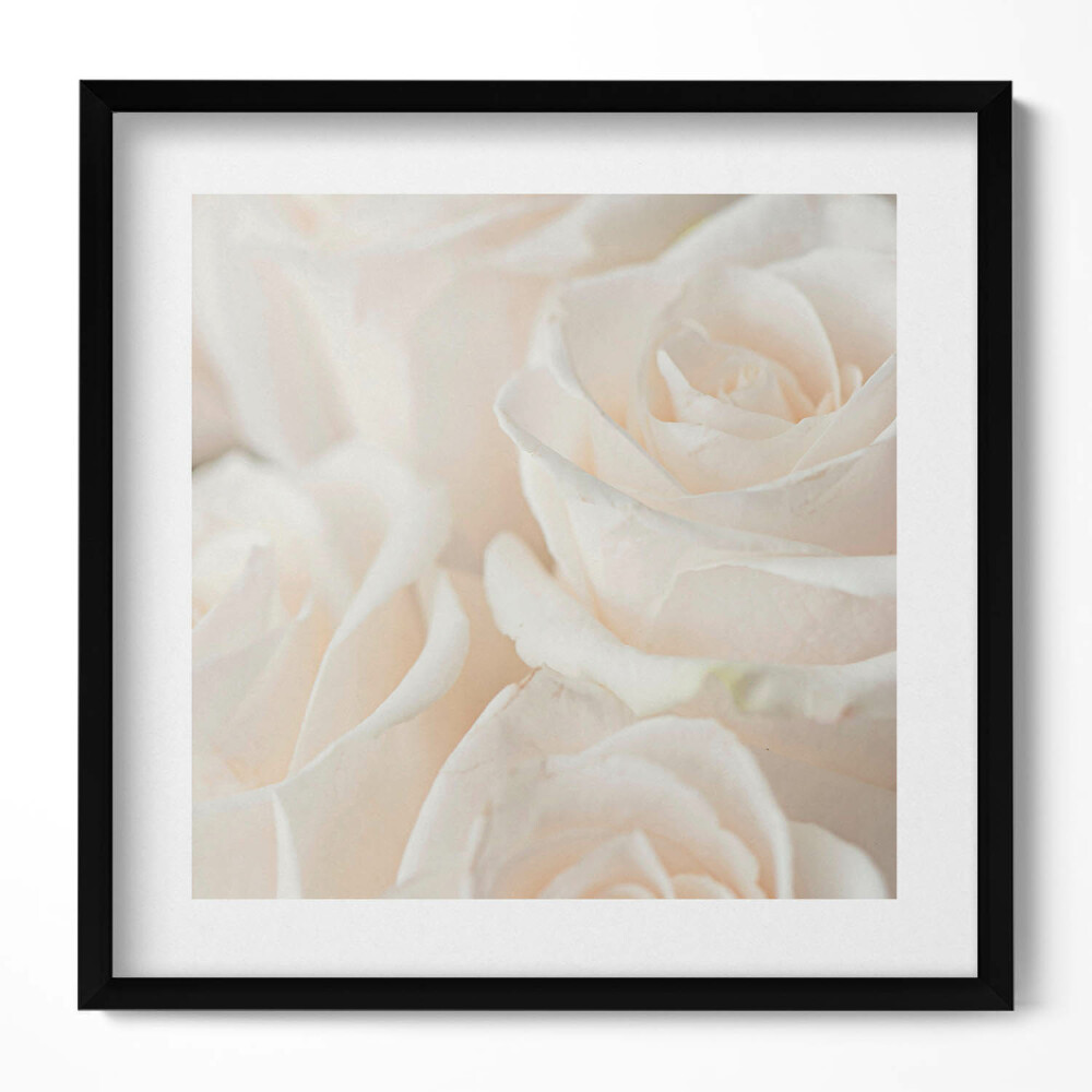 Tablou living cu rama unic Alb delicat diverse