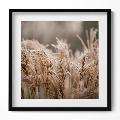 Tablou living cu rama unic Ierburi delicate Boho