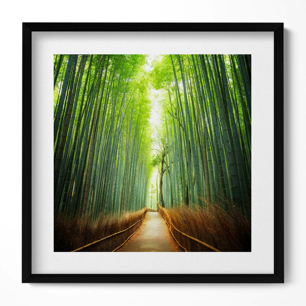 Tablou living cu rama unic Pădurea de bambus Arashiyama Kyoto Japonia