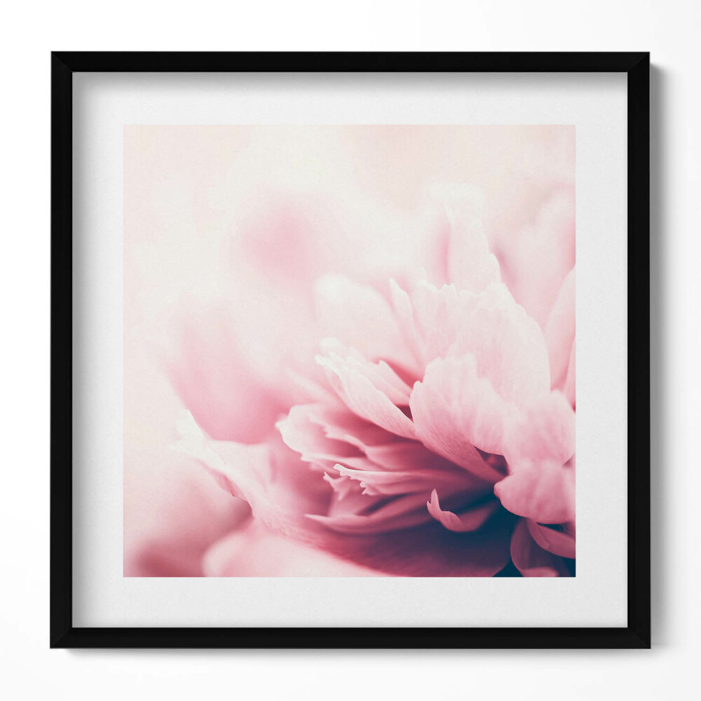 Tablou rama unic Prim-plan al petalelor de bujor