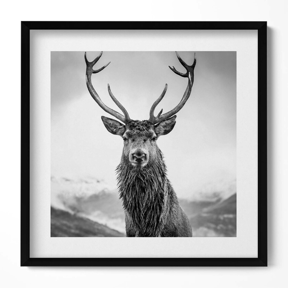Tablou rama unic Cerb alb-negru
