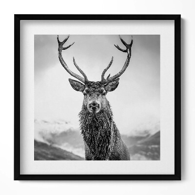 Tablou rama unic Cerb alb-negru