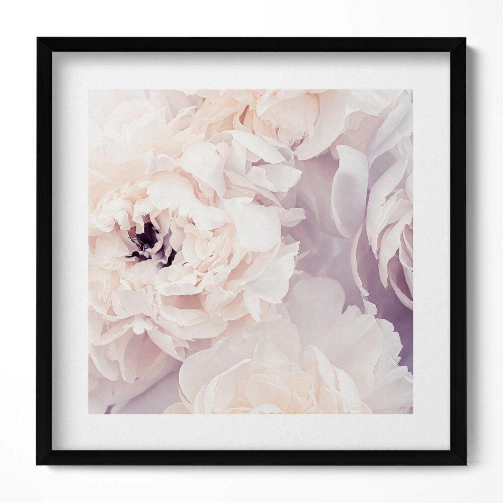 Tablou living cu rama unic Flori delicate de bujor