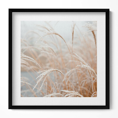 Tablou living cu rama unic Ierburi delicate boho