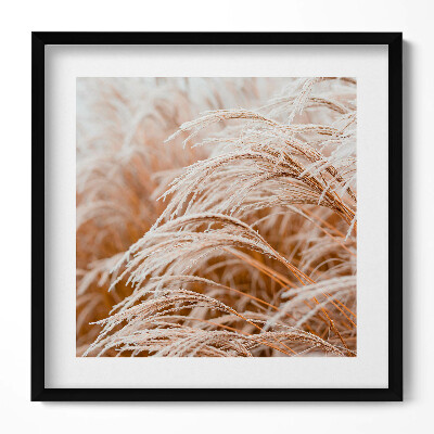 Tablou rama unic Ierburi delicate boho