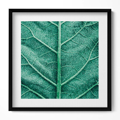 Tablou rama unic Prim-plan al nervurilor frunzelor