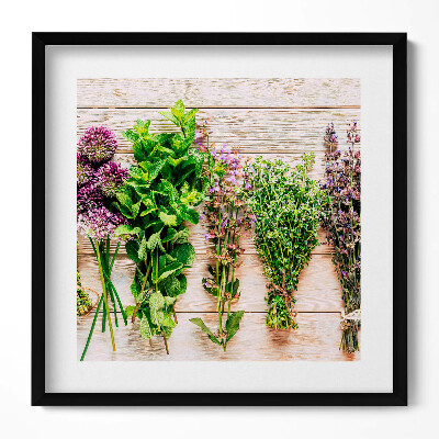 Tablou rama unic Plante și ierburi pe plăci