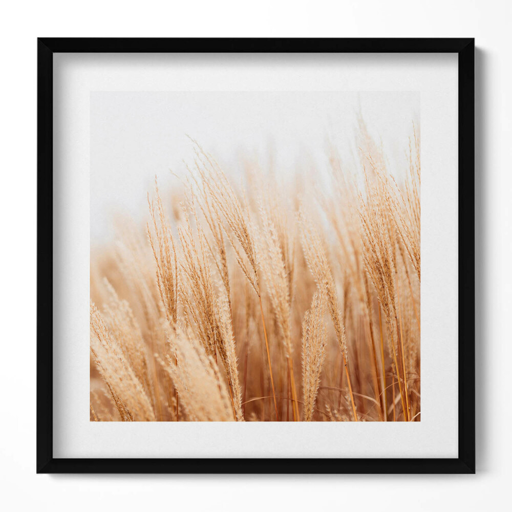 Tablou living cu rama unic Un peisaj de ierburi delicate în stil boho