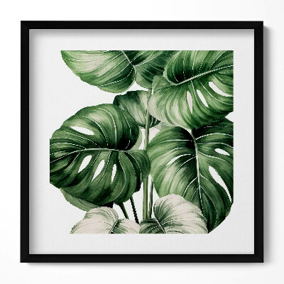 Tablou living cu rama unic Frunze de Monstera pictate