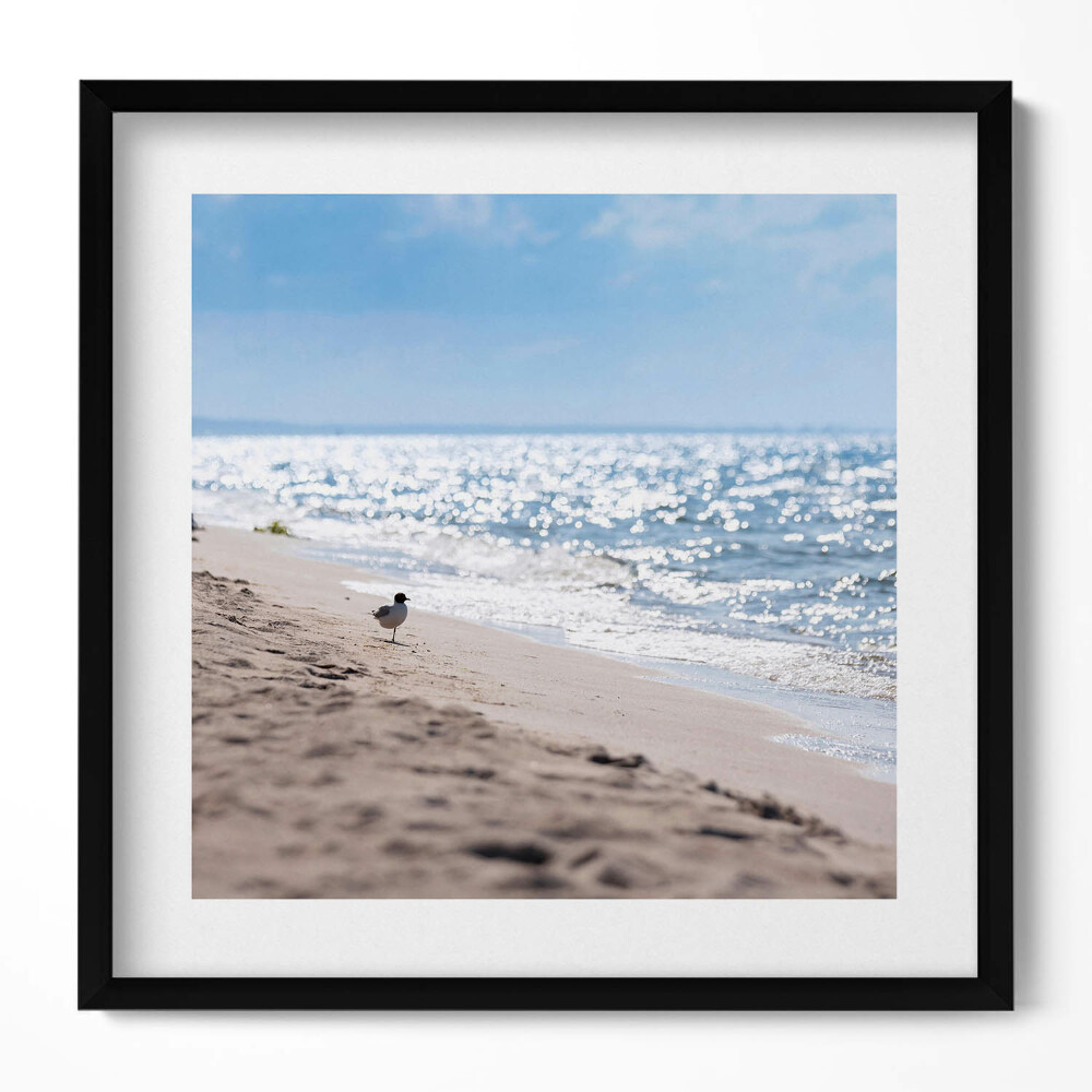 Tablou living cu rama unic Valurile mării și o pasăre pe plajă