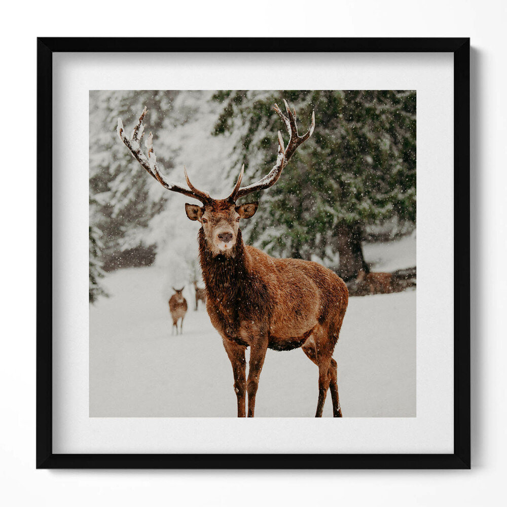 Tablou living cu rama unic Cerb în pădurea de iarnă