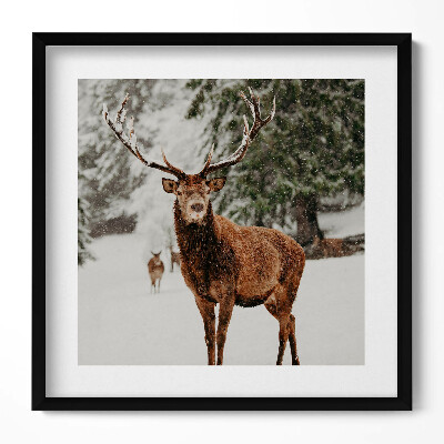 Tablou living cu rama unic Cerb în pădurea de iarnă