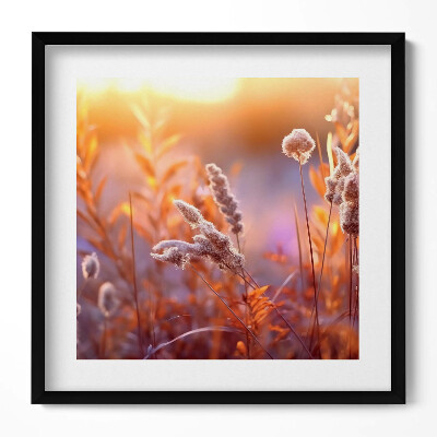 Tablou rama unic Iarbă boho la răsărit