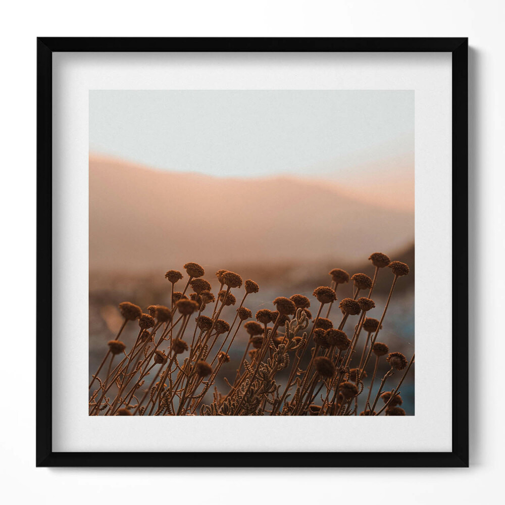 Tablou rama unic Peisaj romantic cu iarbă boho