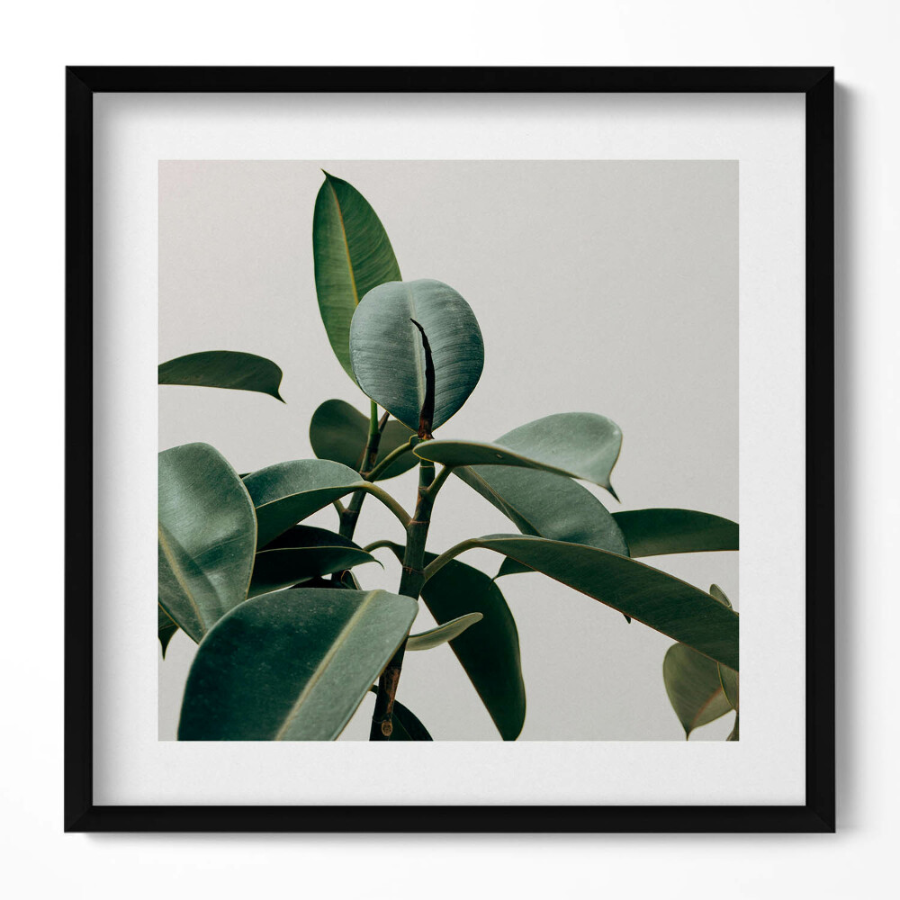 Tablou living cu rama unic Stil minimalist de plantă verde