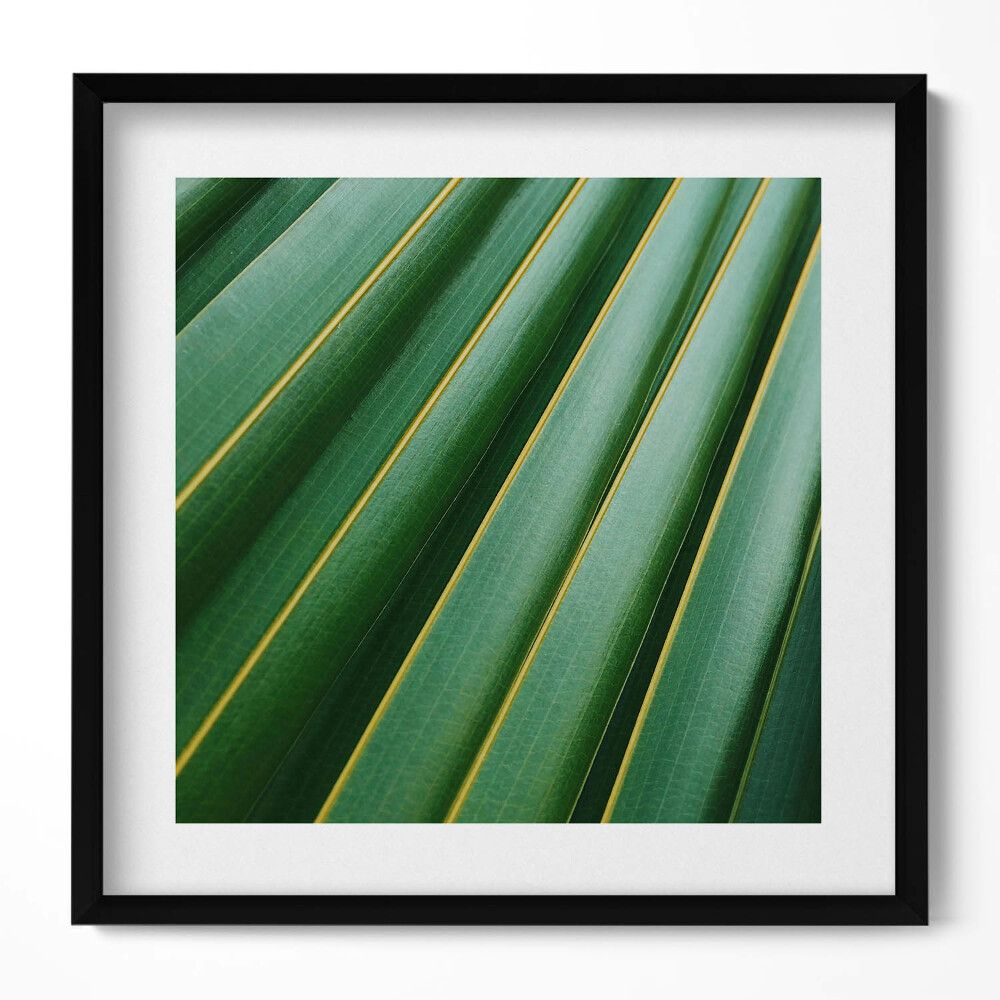 Tablou rama unic Textură de plantă verde