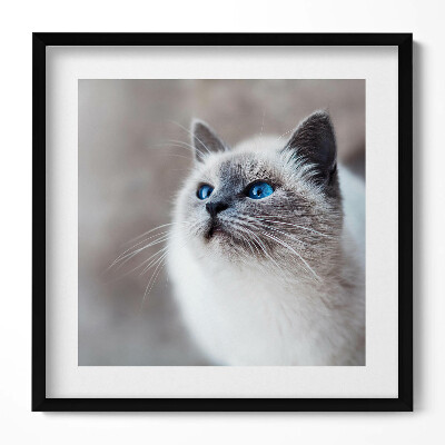 Tablou living cu rama unic Un peisaj liniștit al unui lac de iarnă