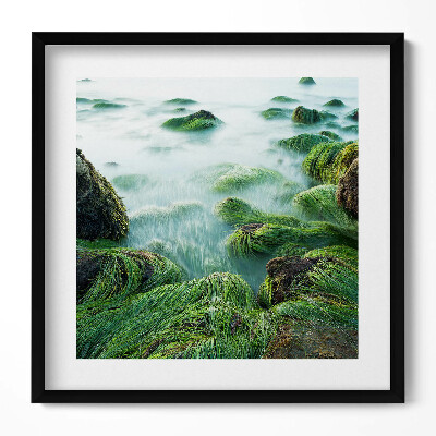 Tablou living cu rama unic Ierburi pe malul râului