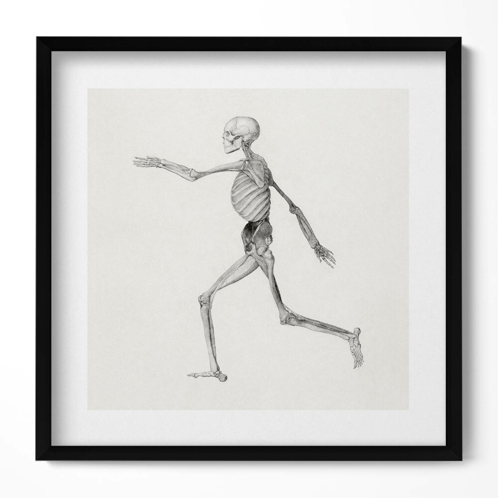 Tablou rama unic Un desen al unui schelet