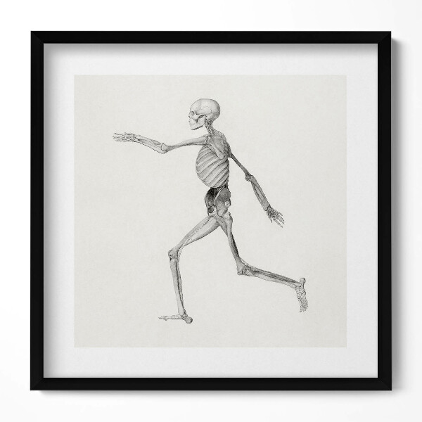 Tablou rama unic Un desen al unui schelet