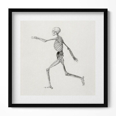 Tablou rama unic Un desen al unui schelet