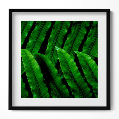 Tablou rama unic Frunze verzi de aproape