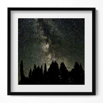 Tablou rama unic Cer înstelat peste pădure