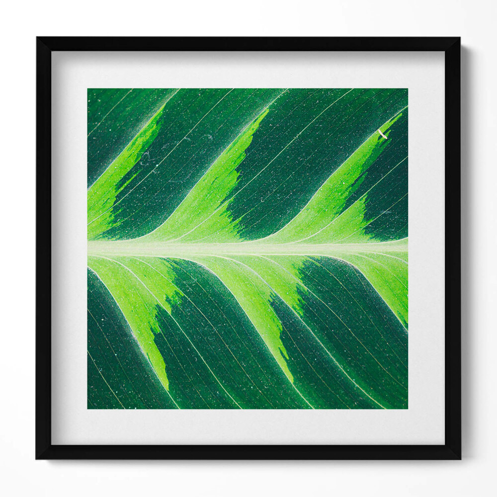 Tablou rama unic Textura și nervurile frunzelor