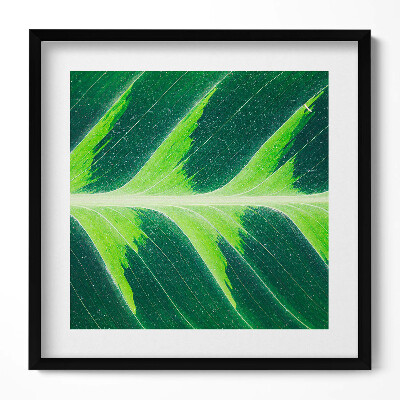 Tablou rama unic Textura și nervurile frunzelor