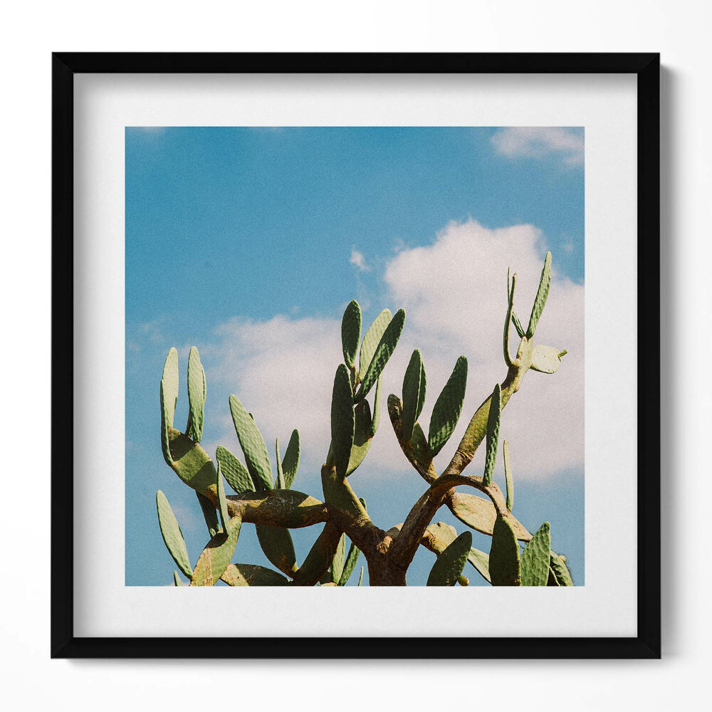 Tablou rama unic Cactus pe fundalul cerului