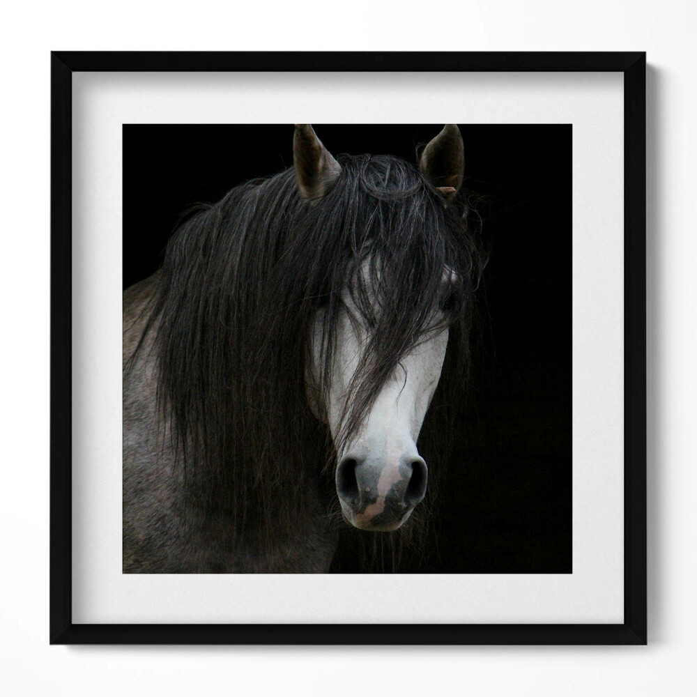 Tablou rama unic Cap de cal gri