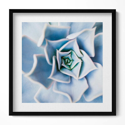 Tablou rama unic Floare de plantă