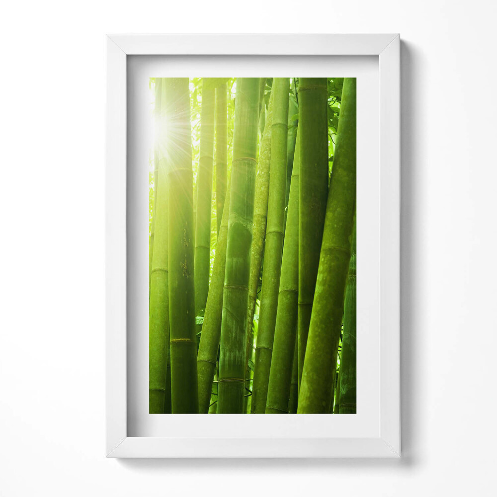 Tablou rama decorativ Tulpini verzi de bambus