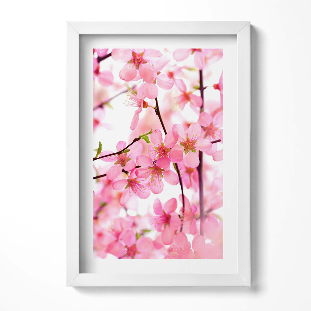 Tablou living cu rama decorativ Flori roz de primăvară pe ramuri