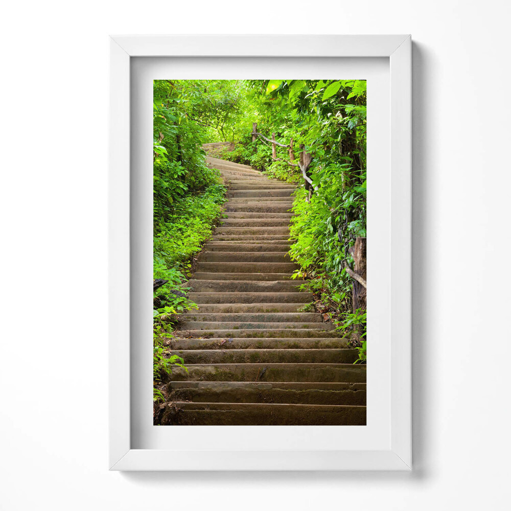 Tablou rama decorativ Scări în mijlocul pădurii