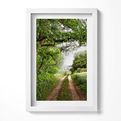 Tablou rama decorativ Cale, copaci și raze de soare