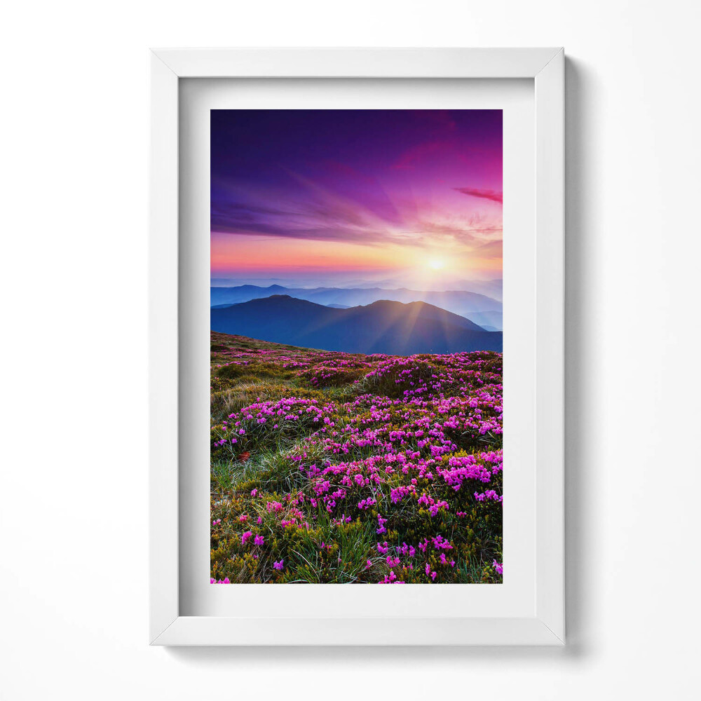 Tablou rama decorativ Flori de răsărit