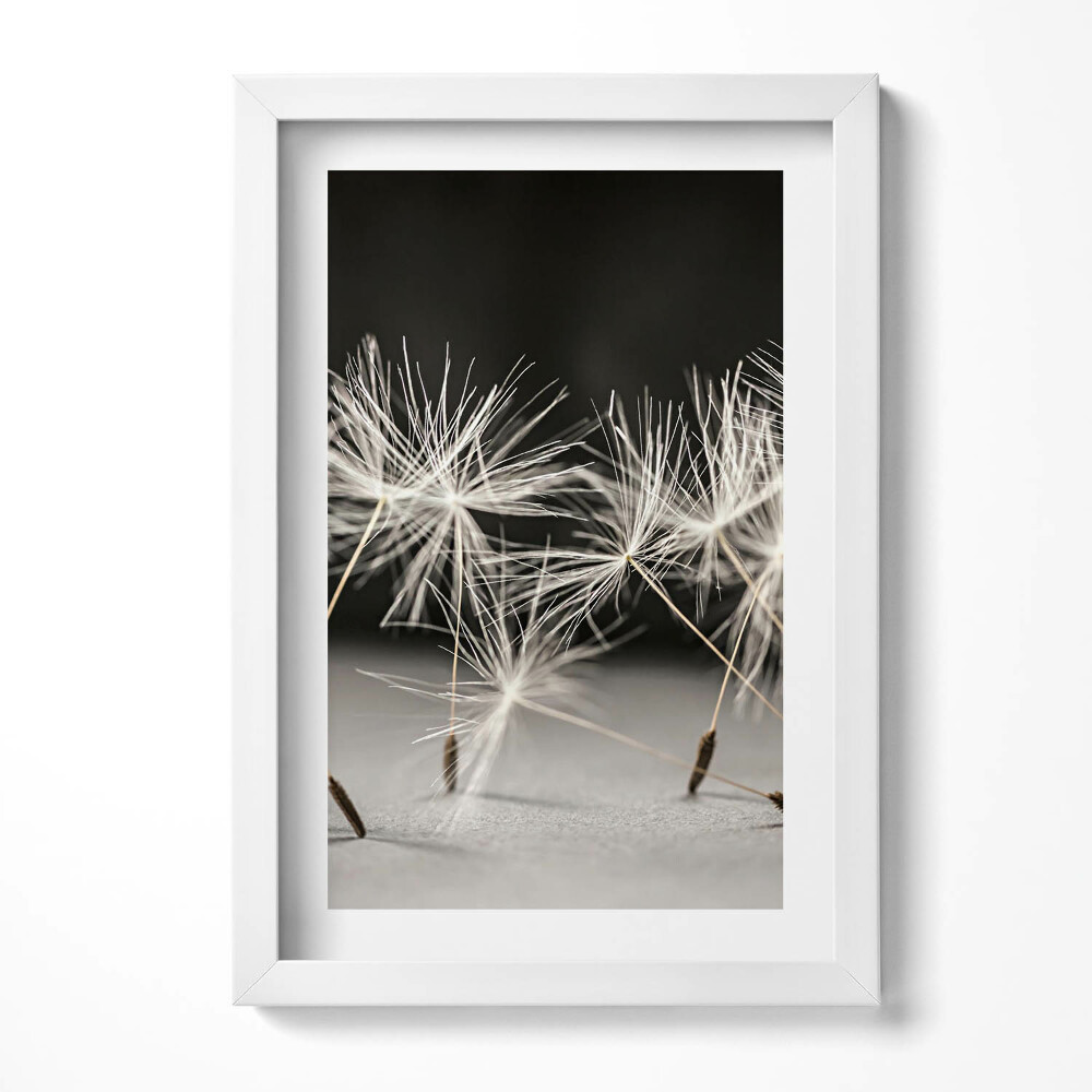 Tablou rama decorativ Polen delicat de păpădie