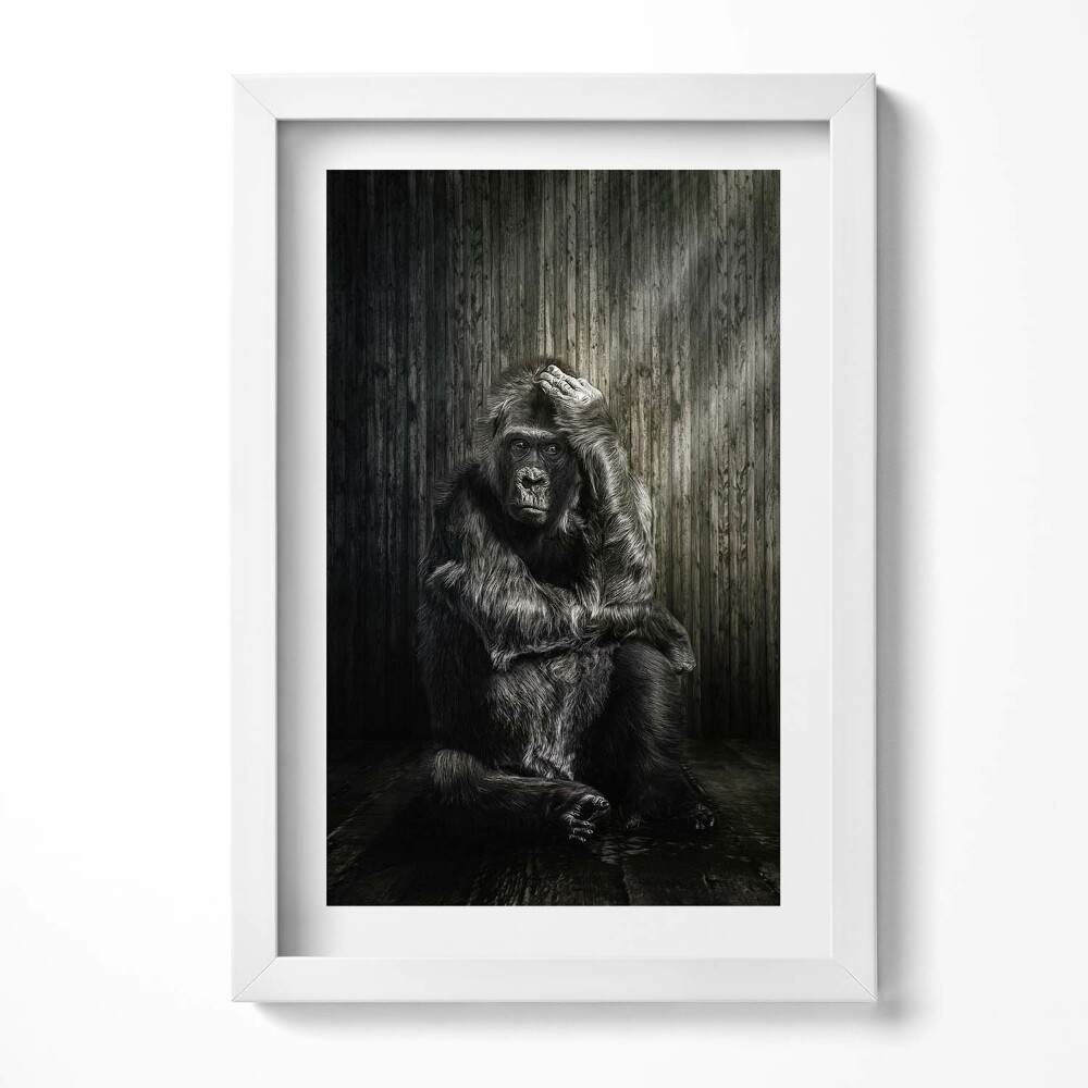 Tablou rama decorativ O maimuță gândind în umbră