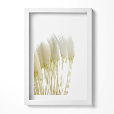 Tablou living cu rama decorativ Ierburi albe delicate