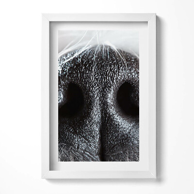 Tablou living cu rama decorativ Prim-plan al nasului unui animal