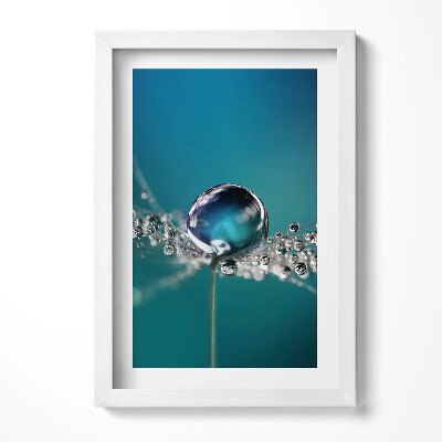 Tablou rama decorativ O picătură de rouă pe o păpădie