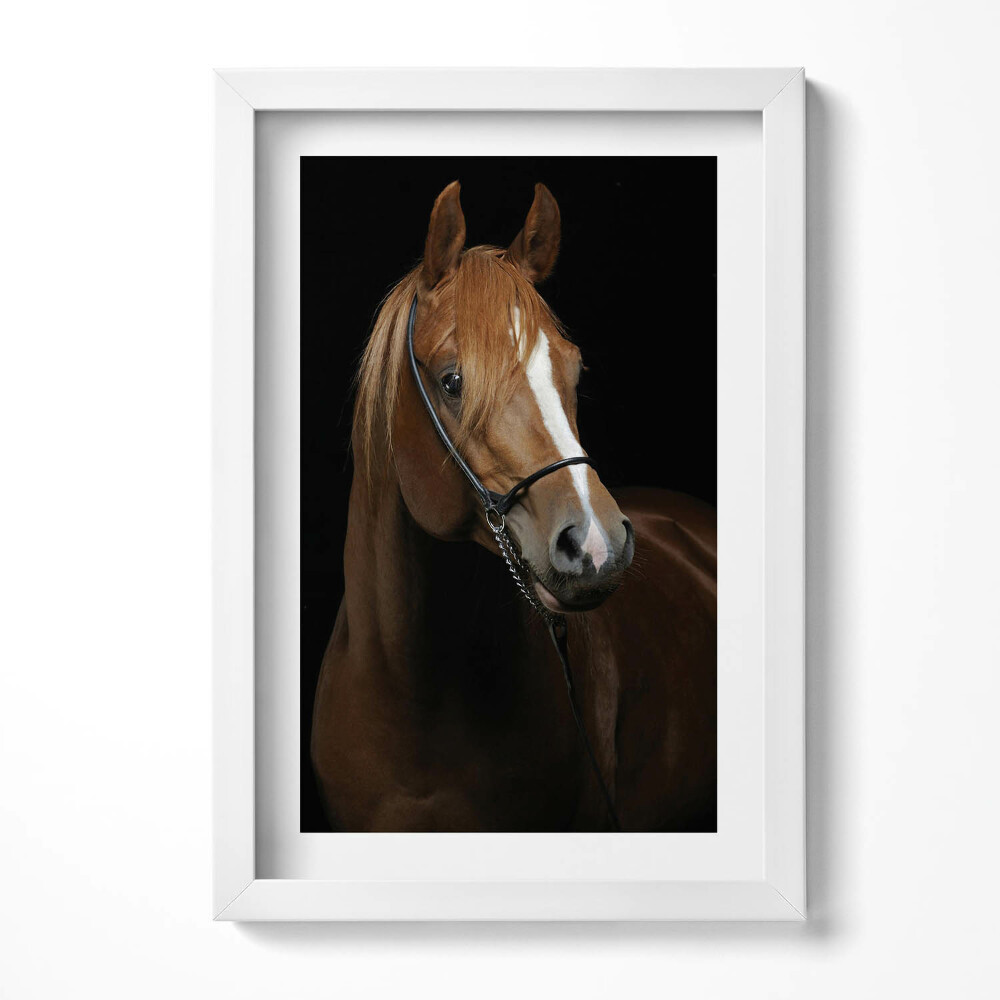 Tablou living cu rama decorativ Cal brun