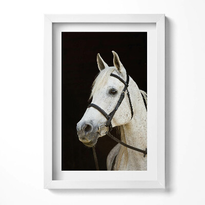 Tablou living cu rama decorativ Cal alb