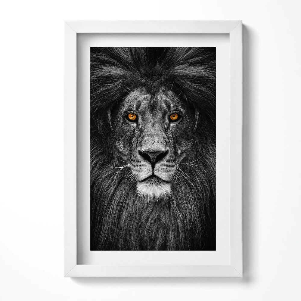 Tablou living cu rama decorativ Cap de leu alb-negru