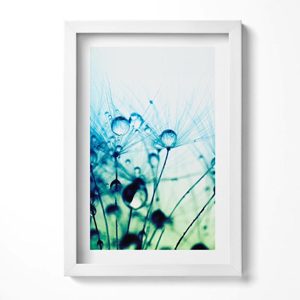 Tablou living cu rama decorativ Picături de rouă pe păpădii